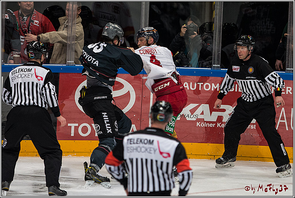 DEL, Koelner Haie - Duesseldorfer EG, 14.02.2017